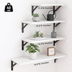 YGEOMER 4 Different Sizes Floating Shelves - Image 3