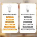 Touch Table Lamp - Image 6