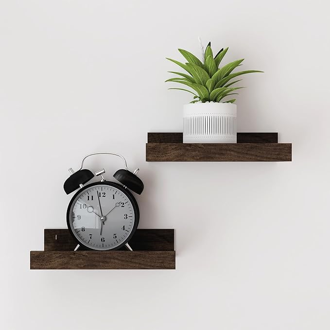 Small Walnut Floating Shelves for Wall, 8 in Shelf by Unknown