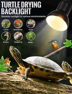 Clip On Gooseneck Lamp - 60W Max - Image 6