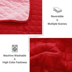 Exclusivo Mezcla Reversible Twin Quilt Bedding Set, Soft Microfiber, All Season - Image 6
