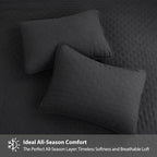 ROARINGWILD Black King Size Quilt Bedding Sets - Image 4