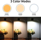 Dott Arts Desk Lamp, USB Clip On Light - Image 2