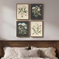Framed Vintage Botanical Floral Wall Art by Cuspin
