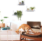 Floating Wall Shelves, Rustic Wood Wall Mounted Shelf Set of 3 | No Drill - Image 2