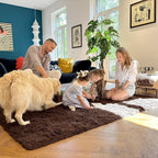 OLANLY 4x5 Machine Washable Accent Rug, Soft Fluffy Shaggy Area Rug - Image 7