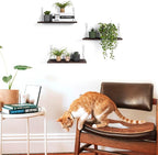 Floating Wall Shelves, Rustic Wood Wall Mounted Shelf Set of 3 | No Drill - Image 9