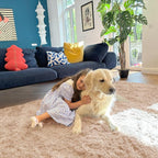 OLANLY 5x10 Machine Washable Large Area Rugs - Image 5