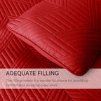 Exclusivo Mezcla Ultrasonic King Quilt Bedding Set, Soft Microfiber, Modern - Image 6