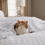 Bedsure Quilts Queen Size - Image 6