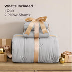 Bedsure Lightweight Comforter Queen Size – Extra Soft & Breathable Quilt Set - Image 5