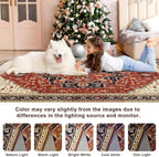 Macgace Washable Vintage Area Rug - Image 5