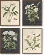 Framed Vintage Botanical Floral Wall Art - Image 9