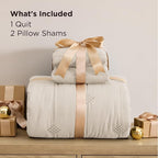 Bedsure Lightweight Queen Comforter Set – Beige Prewashed Soft Bedding - Image 5