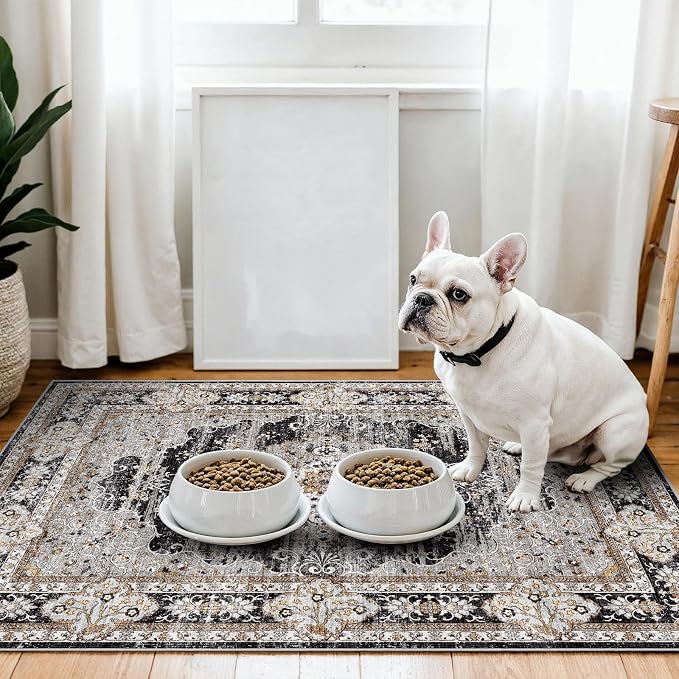 3x4 Washable Entryway Area Rug by Puino